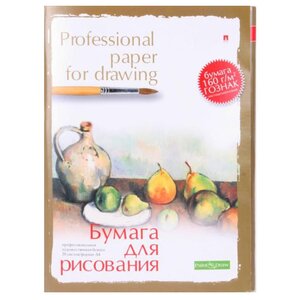 Папка для рисования Альт Professional paper for drawing 29.7 х 21 см (A4), 160 г/м², 20 л. (фото modal nav 2)