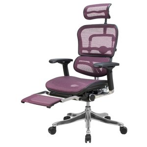 Компьютерное кресло Comfort Seating Ergohuman Plus Legrest (фото modal nav 1)