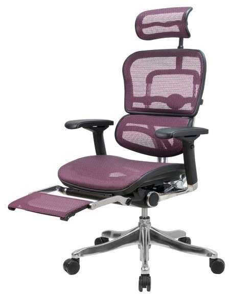 Компьютерное кресло Comfort Seating Ergohuman Plus Legrest (фото modal 1)