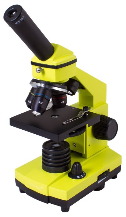 Микроскоп LEVENHUK Rainbow 2L PLUS (фото modal 34)
