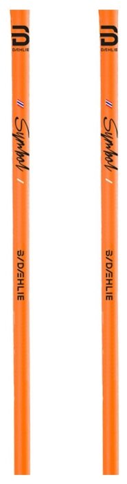 Лыжные палки Bjorn Daehlie Symbol (фото modal 3)