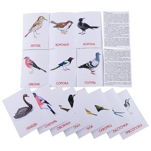 Набор карточек Маленький гений Городские птицы 21x15 см 16 шт. (фото modal nav 3)