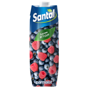 Напиток сокосодержащий Santal Лесные ягоды, с крышкой (фото modal nav 1)