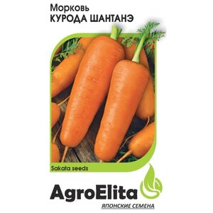 Семена AgroElita Морковь Курода Шантанэ 1 г Гавриш 1 г (фото modal nav 1)