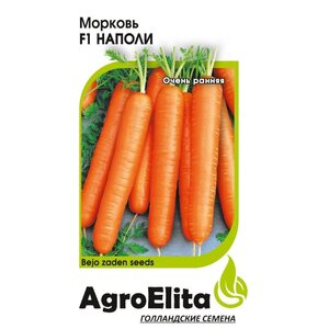Семена AgroElita Морковь Наполи F1 0,3 г Гавриш 0.3 г (фото modal nav 1)