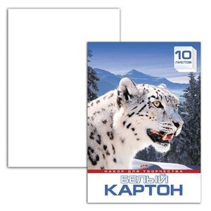 Белый картон Снежный барс Hatber, A3, 10 л. (фото modal nav 3)
