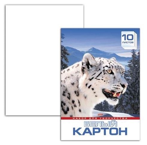 Белый картон Снежный барс Hatber, A3, 10 л. (фото modal 3)