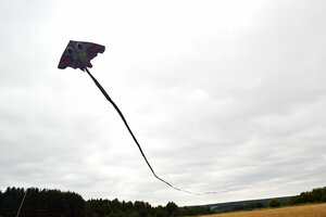 Воздушный змей Веселый ветер Огромный Скат (фото modal nav 1)