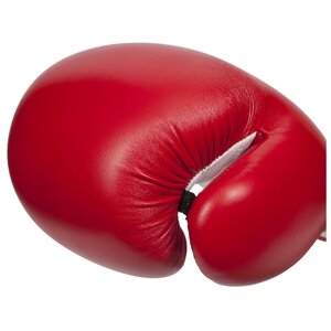 Боксерские перчатки Clinch Fight (фото modal nav 5)