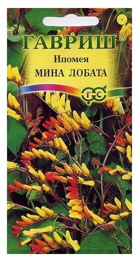 Семена Ипомея Мина Лобата 0,5 г Гавриш 0.5 г (фото modal 1)