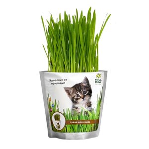 Лакомство для кошек Happy Plant Трава Набор для выращивания (фото modal nav 1)