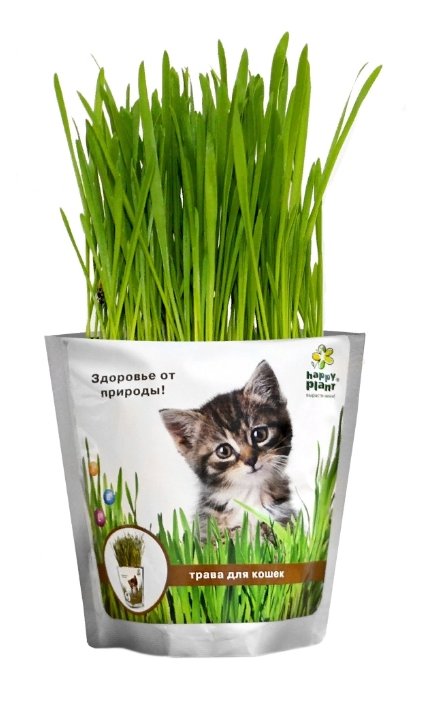 Лакомство для кошек Happy Plant Трава Набор для выращивания (фото modal 1)