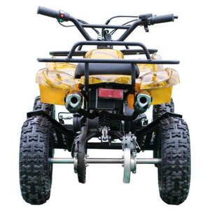 MOTAX Квадроцикл ATV Mini Grizlik Х-16 с электростартером и пультом (фото modal nav 5)