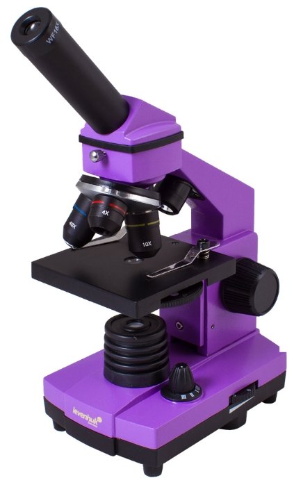 Микроскоп LEVENHUK Rainbow 2L PLUS (фото modal 24)
