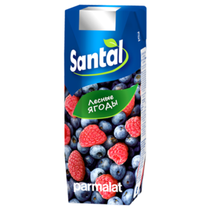 Напиток сокосодержащий Santal Лесные ягоды (фото modal nav 1)