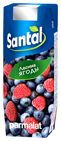 Напиток сокосодержащий Santal Лесные ягоды (фото modal 1)