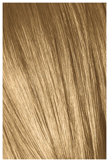 Schwarzkopf Professional Igora Royal краситель для волос Absolutes, 60 мл (фото modal 13)