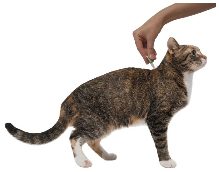 Профендер (Bayer) капли на холку для кошек от 0,5 до 2,5 кг (2 пипетки) (фото modal 5)