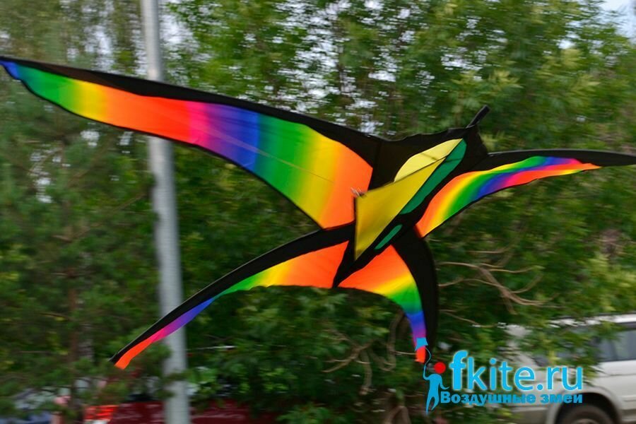 Воздушный змей Веселый ветер Цветная Ласточка (фото modal 5)