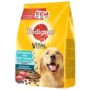 Корм для собак Pedigree (0.6 кг) Для взрослых собак всех пород полнорационный корм с говядиной (фото modal nav 1)