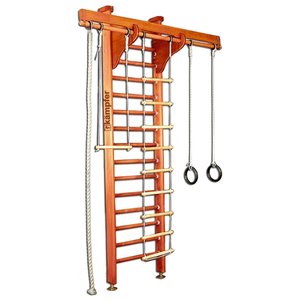 Спортивно-игровой комплекс Kampfer Wooden Ladder Ceiling (фото modal nav 1)