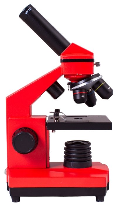 Микроскоп LEVENHUK Rainbow 2L PLUS (фото modal 5)